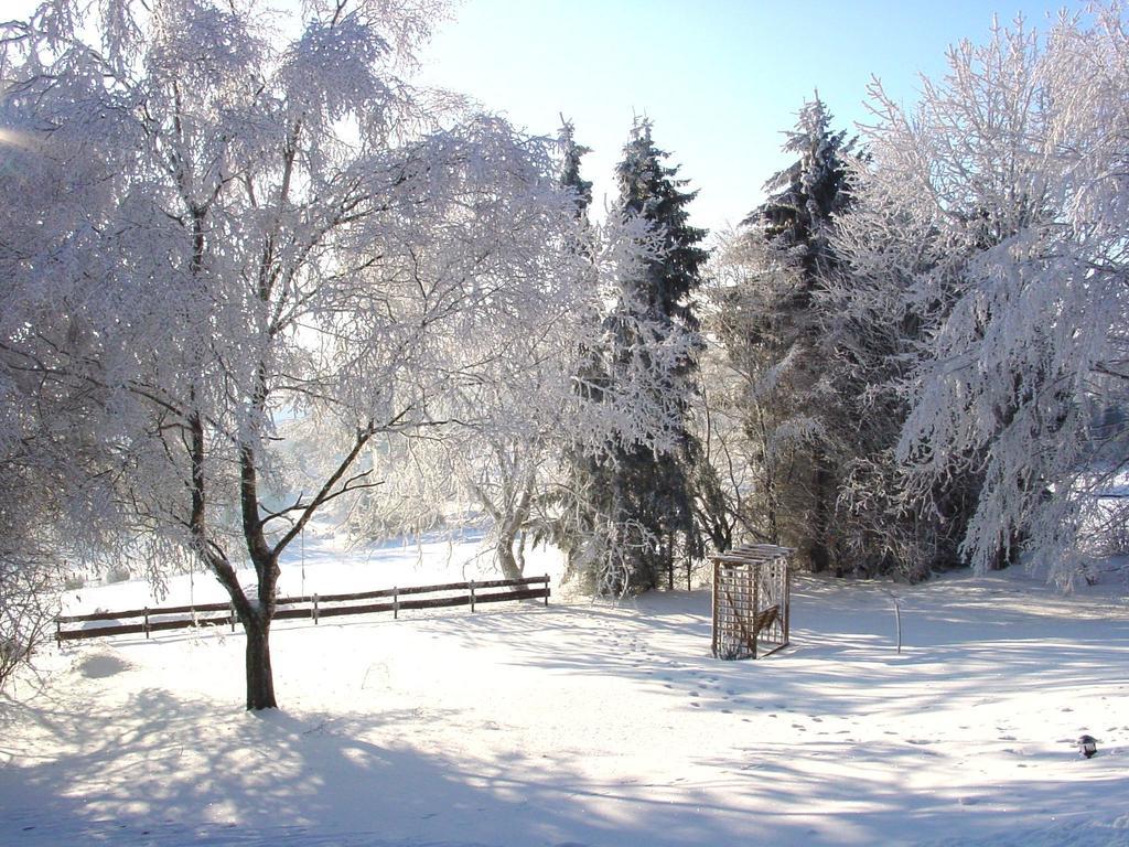 Fewo Holms Winterberg Bilik gambar